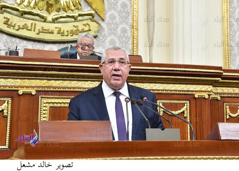 النائب أحمد عثمان عضو مجلس النواب