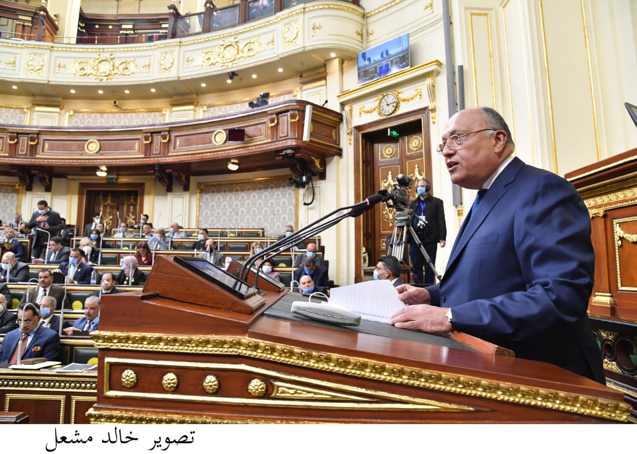 وزير الخارجية سامح شكري