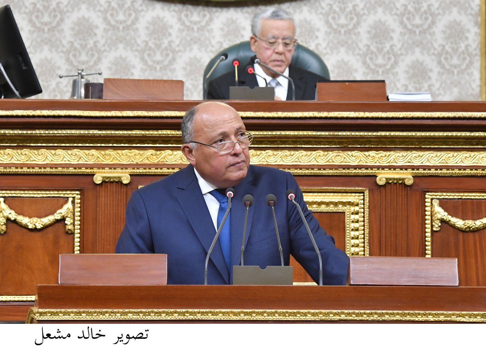 سامح شكري وزير الخارجية