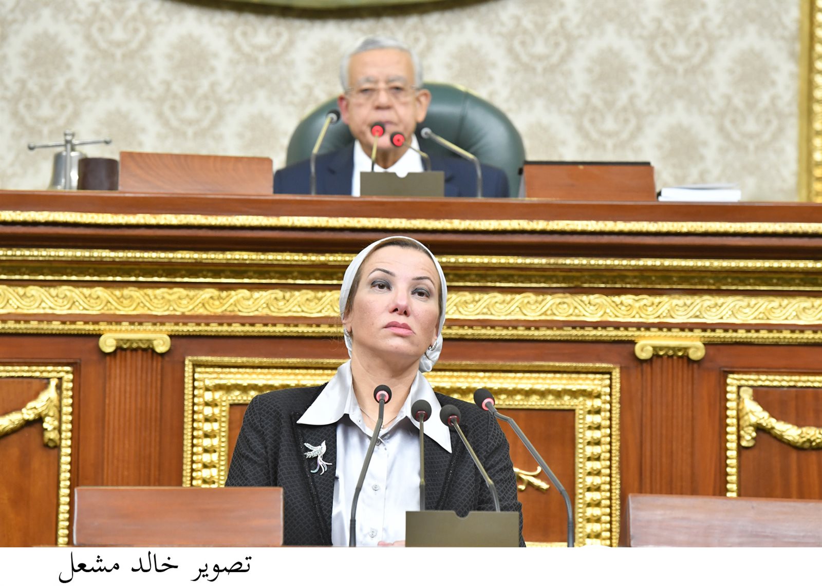 وزيرة البيئة