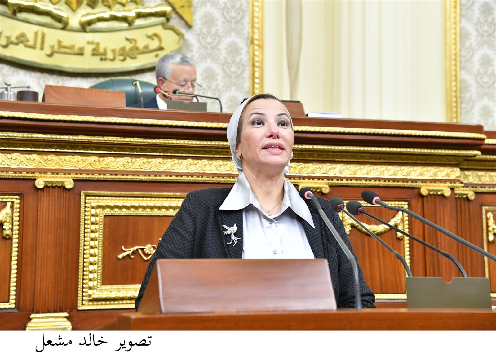 وزيرة البيئة