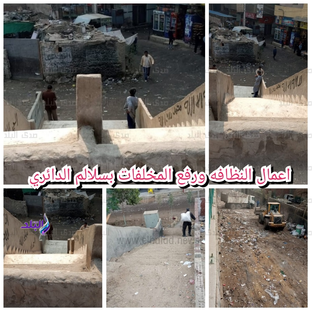 الجيزة تواصل حملاتها لتحقيق الأنضباط بالشارع