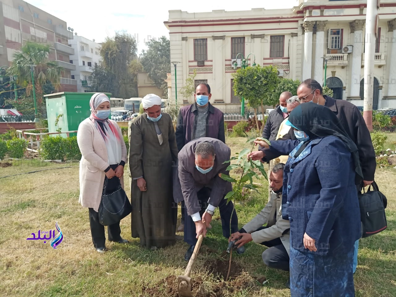 حملة تشجير للشوارع