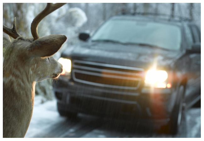 أمريكي يفوز بمليوني دولار بعد تعرضه لحادث سيارة بساعات