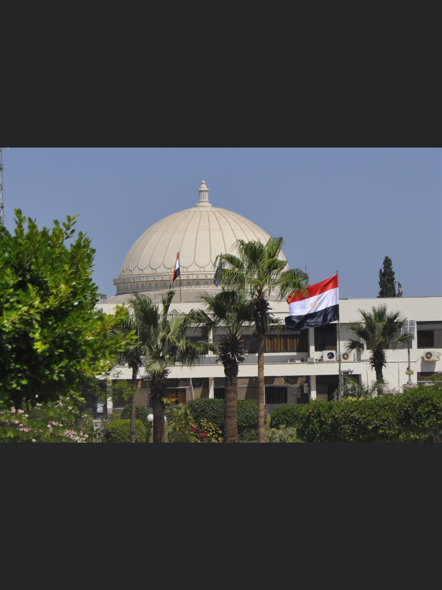 جامعة قناة السويس 