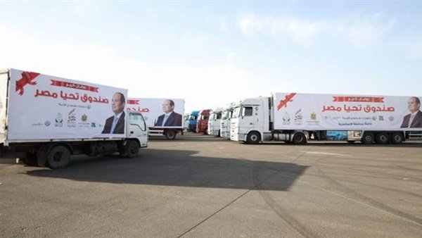 صندوق تحيا مصر 