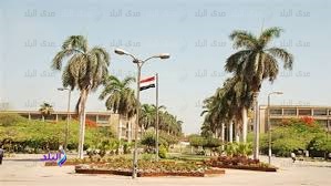 زراعة عين شمس 