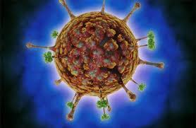 فيروس نيباه 