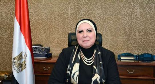 نيفين جامع، وزيرة الصناعة والتجارة