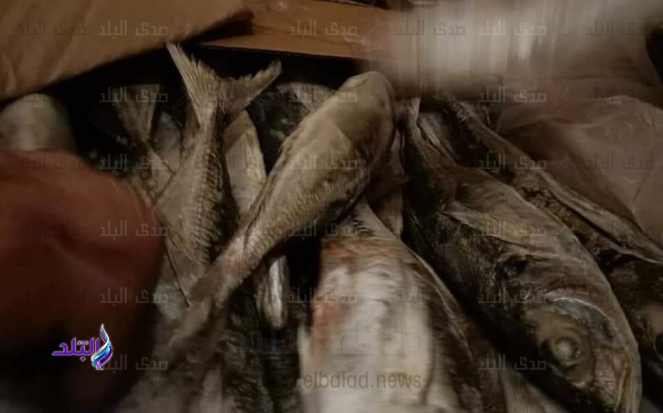 أسماك مجمدة منتهية الصلاحية