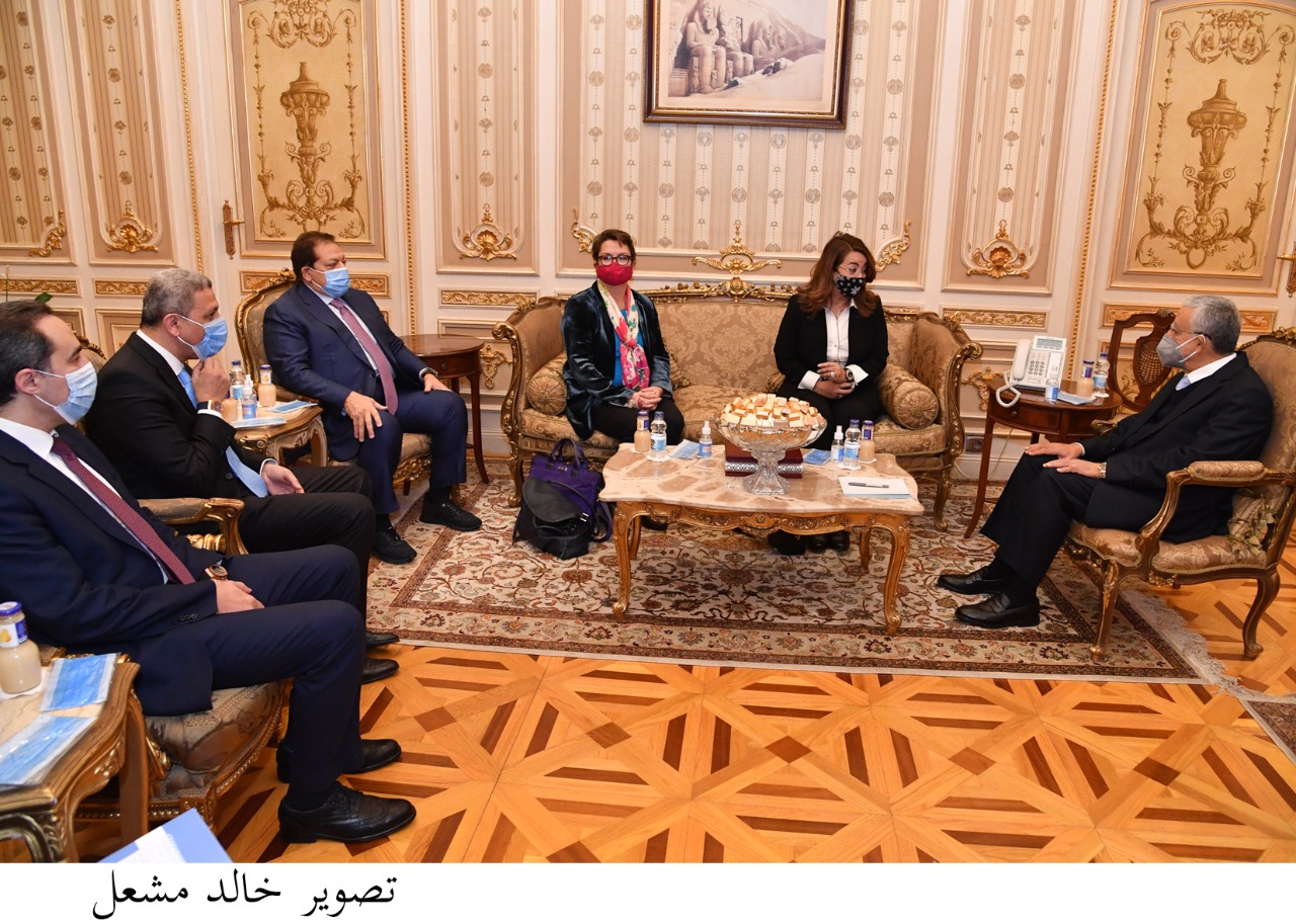  المستشار الدكتور حنفي جبالي وغادة والي 