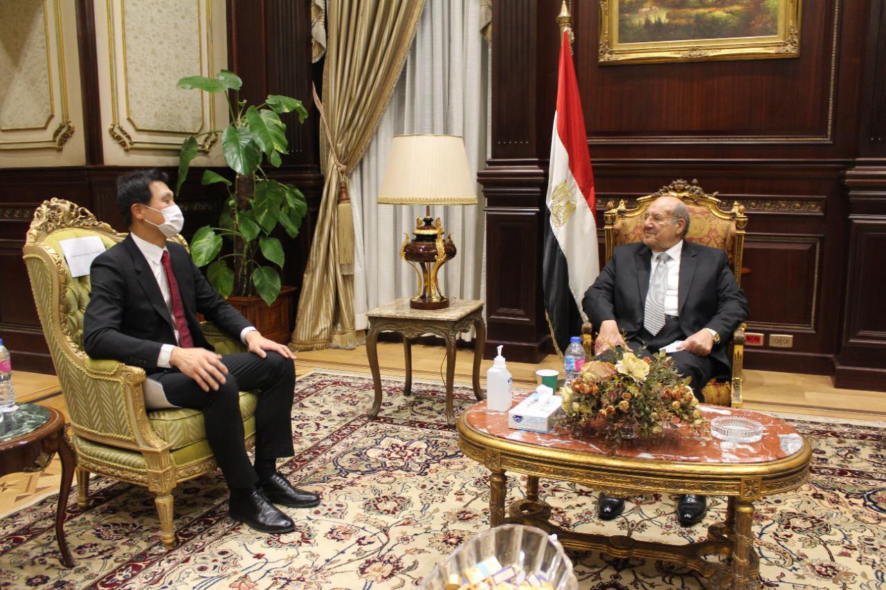 المستشار عبد الوهاب عبد الرازق وهونج جين ووك