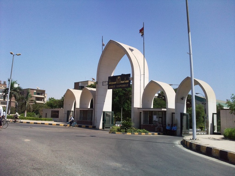 جامعة اسيوط