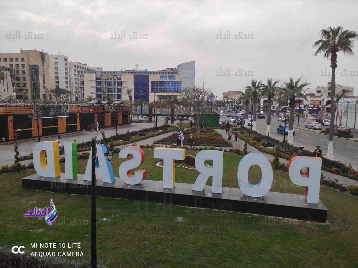 خليج ديليسبس