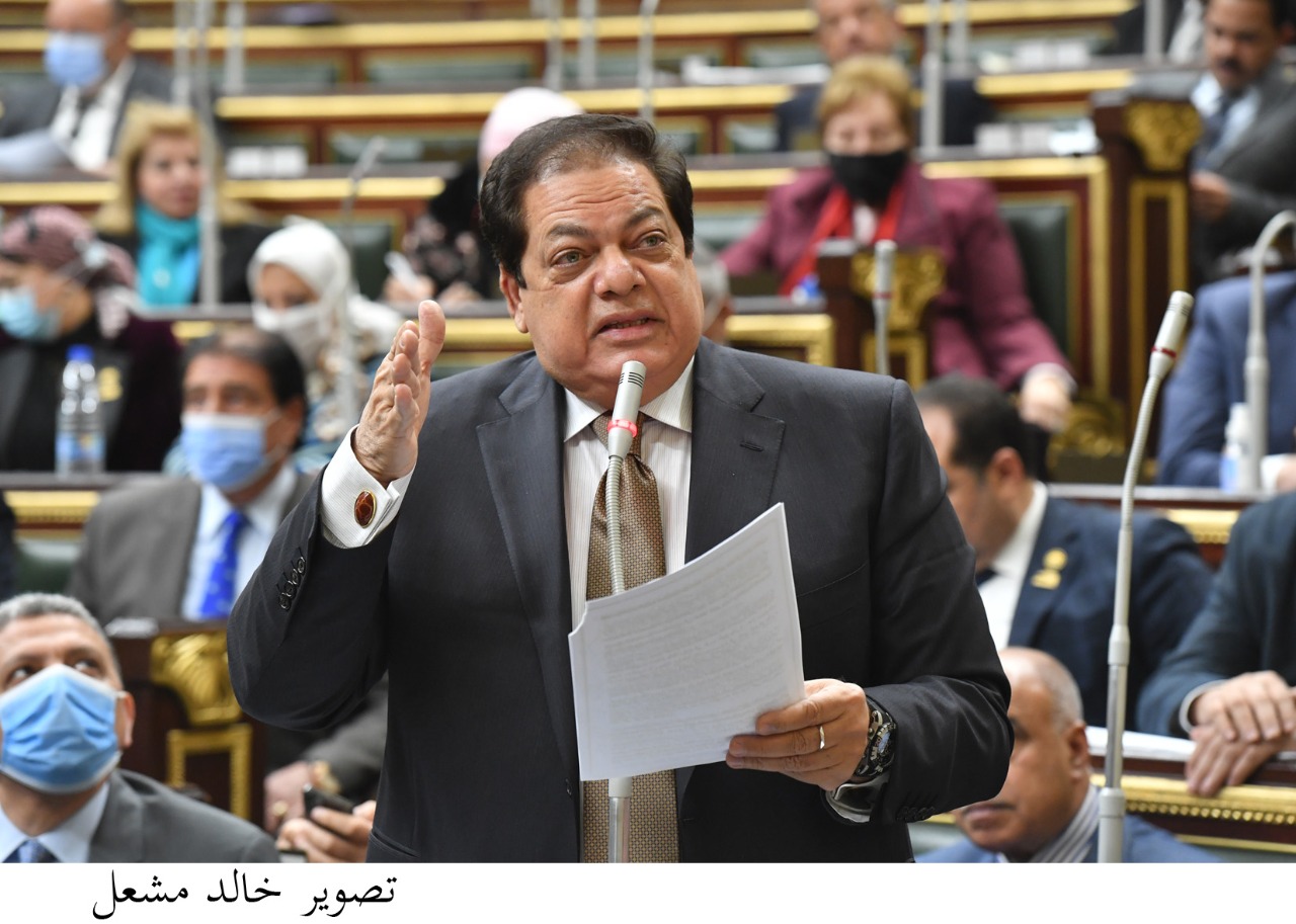 النائب محمد ابو العينين وكيل مجلس النواب 