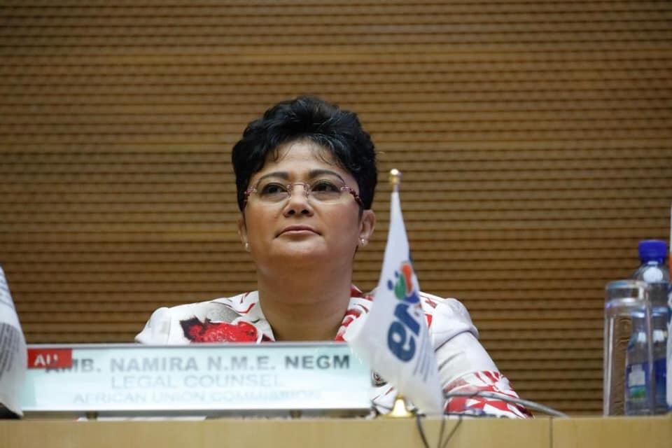 نميرة نجم المستشار القانوني للإتحاد الأفريقي