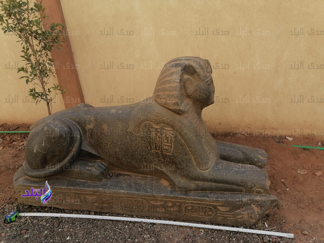 تمثال شبيه ابو الهول