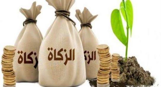زكاة المال 