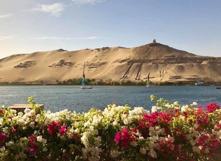 محافظة أسوان 