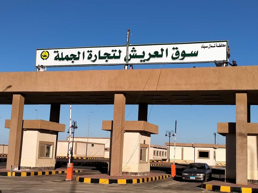 سوق العريش 