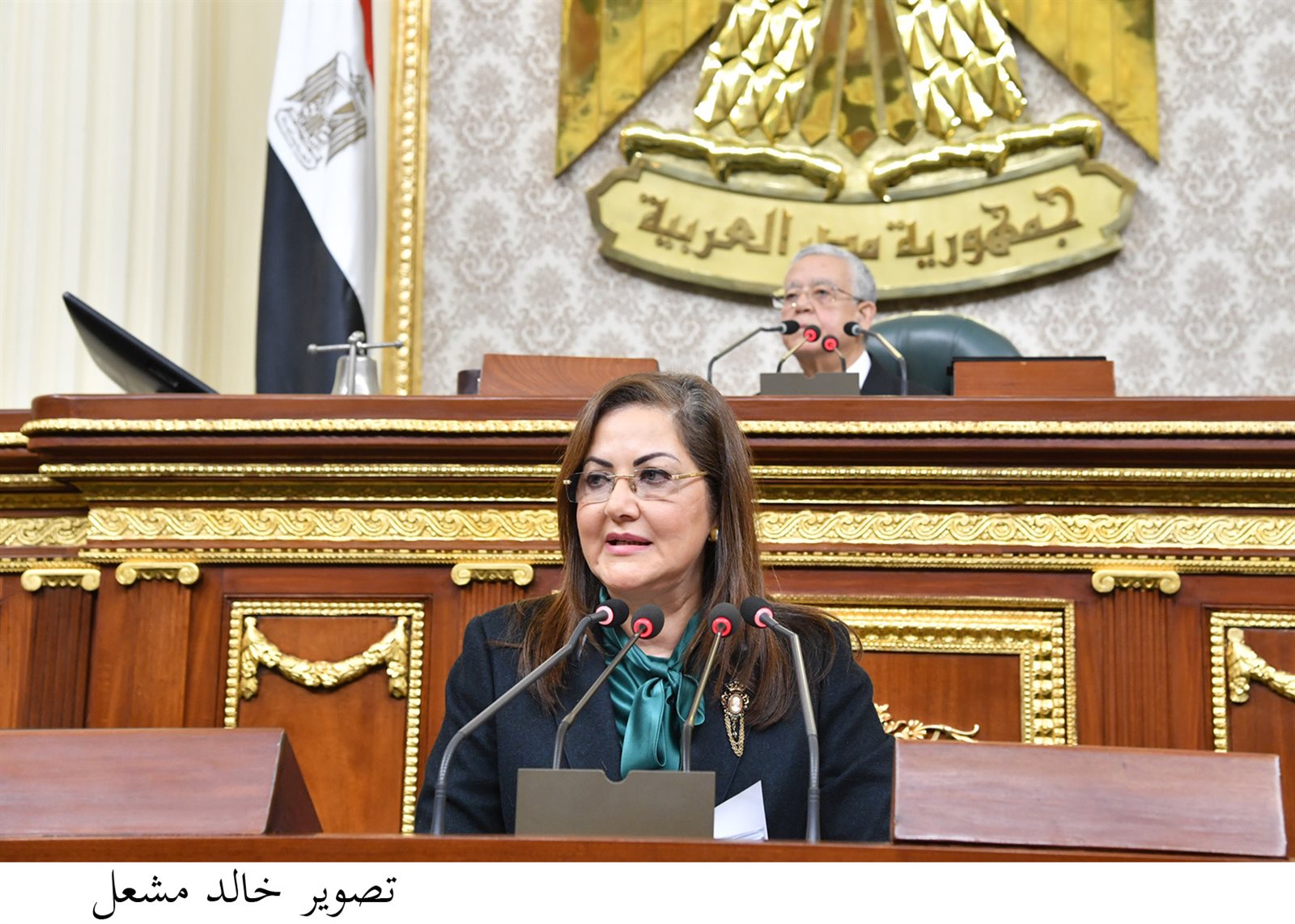 الدكتورة هالة السعيد ، وزيرة التخطيط