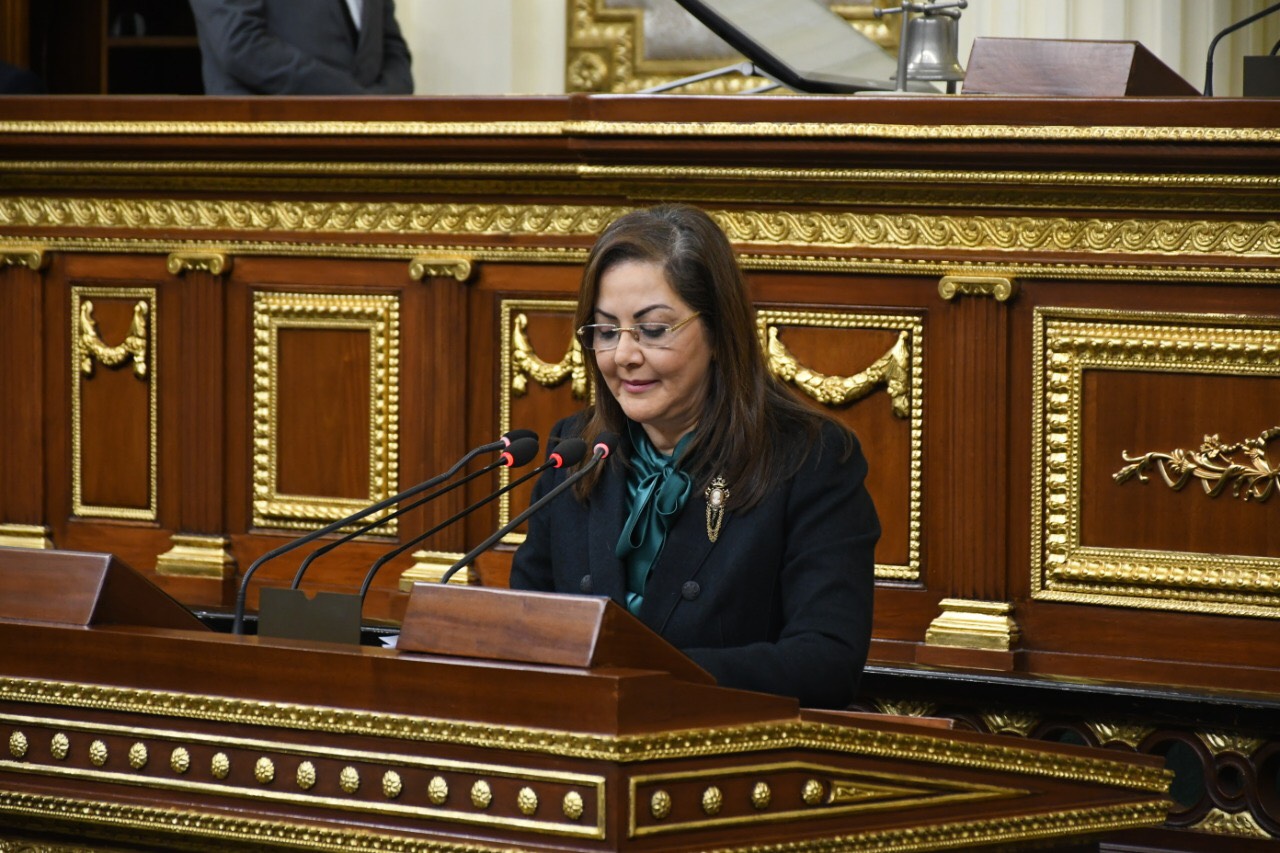 الدكتورة هالة السعيد وزيرة التخطيط 