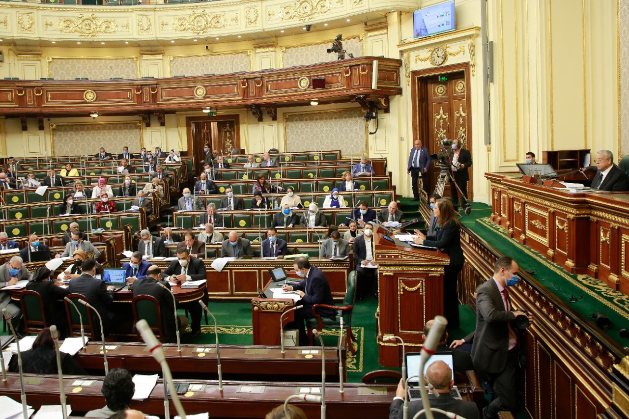 وزيرة التخطيط امام البرلمان