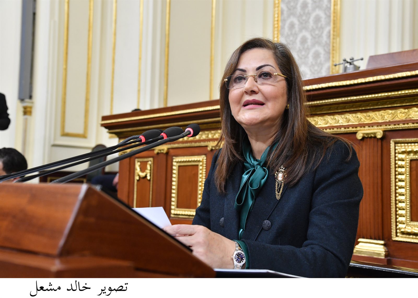 الدكتورة هالة السعيد ، وزيرة التخطيط