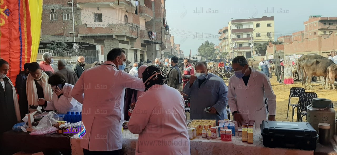 قافلة بيطرية