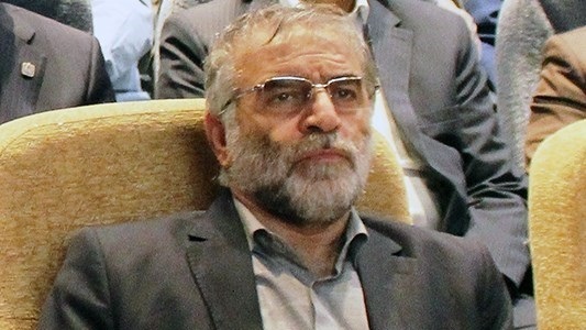 محسن فخري زادة 