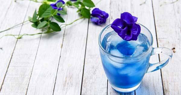 يبطئ الشيخوخة ويقوي الذاكرة .. فوائد غير متوقعة لهذا النوع م