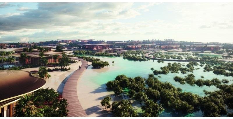 جانب من التصاميم 