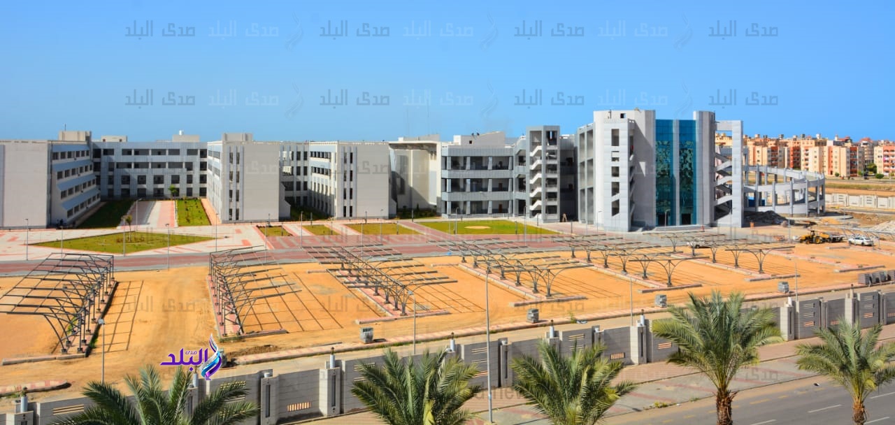 جامعة دمياط 