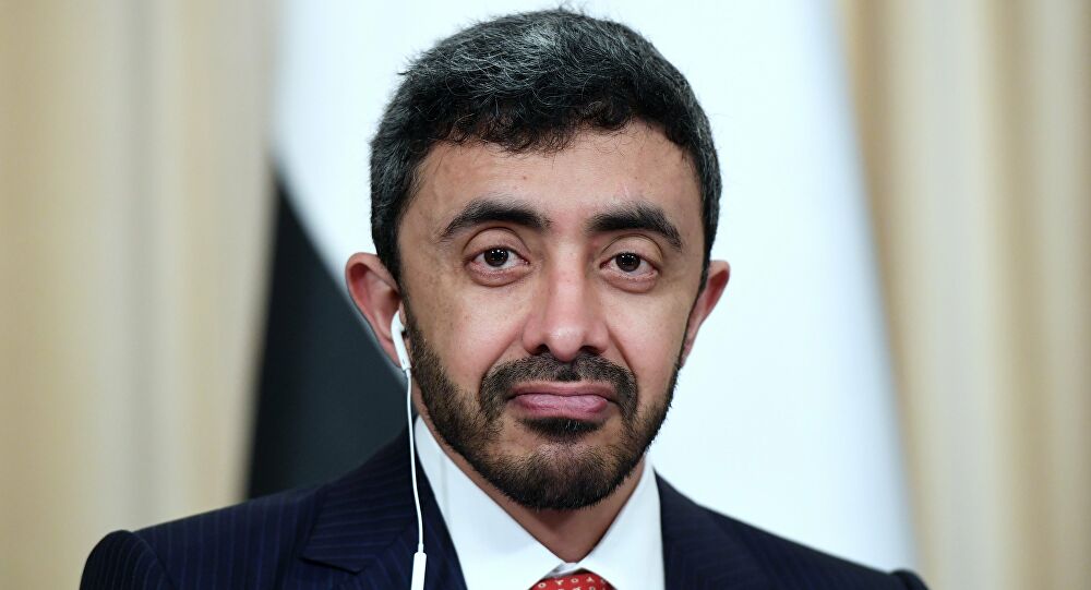 وزير الخارجية الإماراتي عبدالله بن زايد