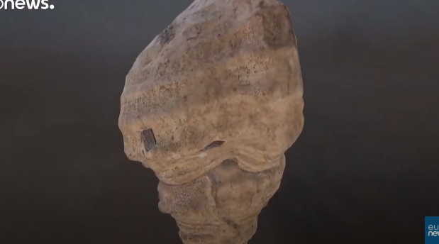 محارة يبلغ عمرها 18 ألف عام محارة يبلغ عمرها 18 ألف عام