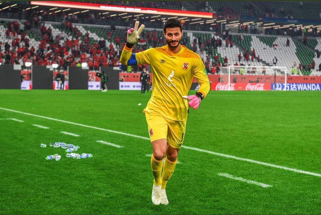 محمد الشناوي