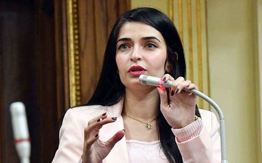 النائبة ايرين سعيد عضو مجلس النواب 