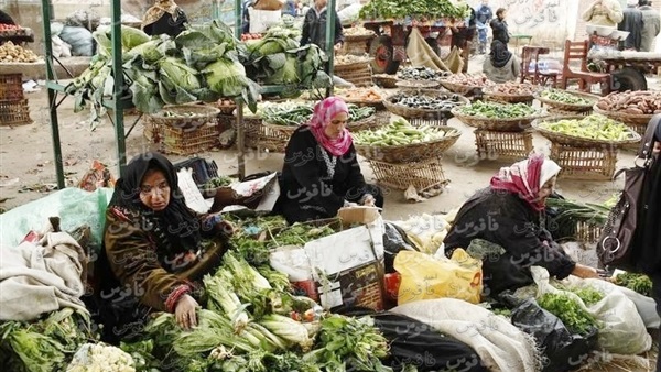 اسعار الفاكهة