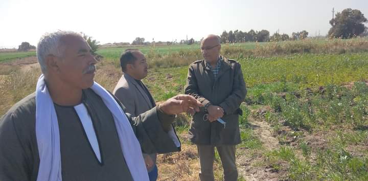 تفقد المحاصيل الزراعية 