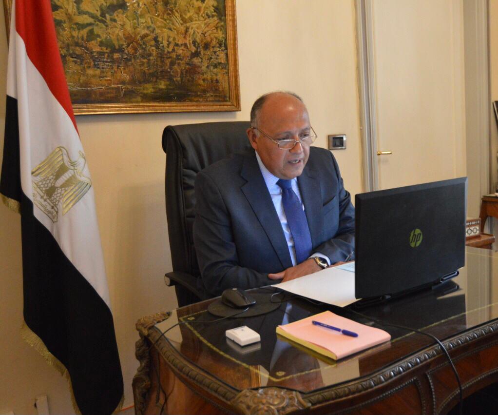 وزير الخارجية سامح شكري