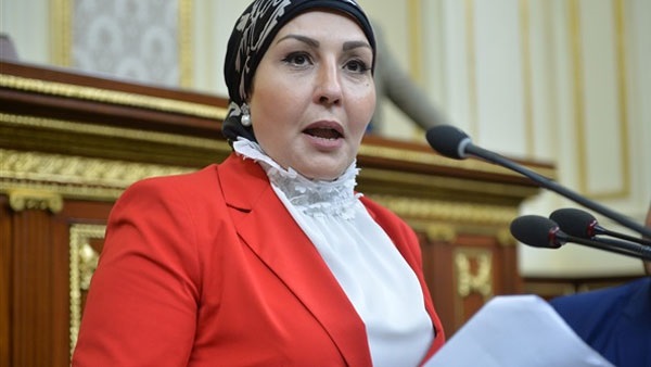  النائبة/هالة ابو السعد، وكيل لجنة المشروعات الصغيرة 
