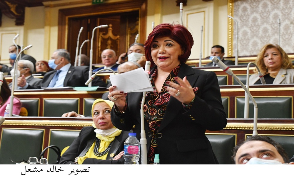 النائبة نورا على