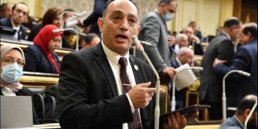  النائب فريد البياضي