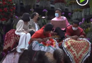 زواج على ظهر فيل 