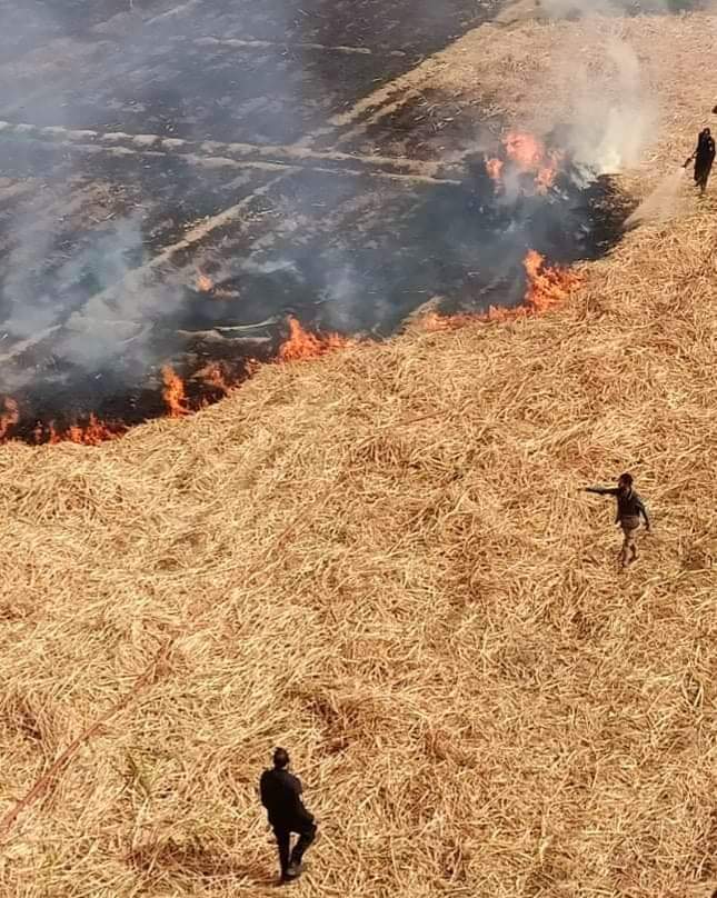 اندلاع النيران في قش قصب بنجع حمادي