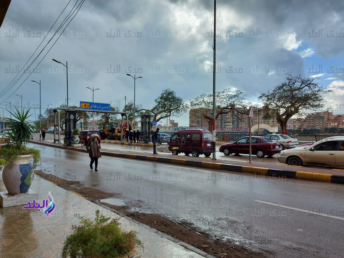 سقوط شجرة
