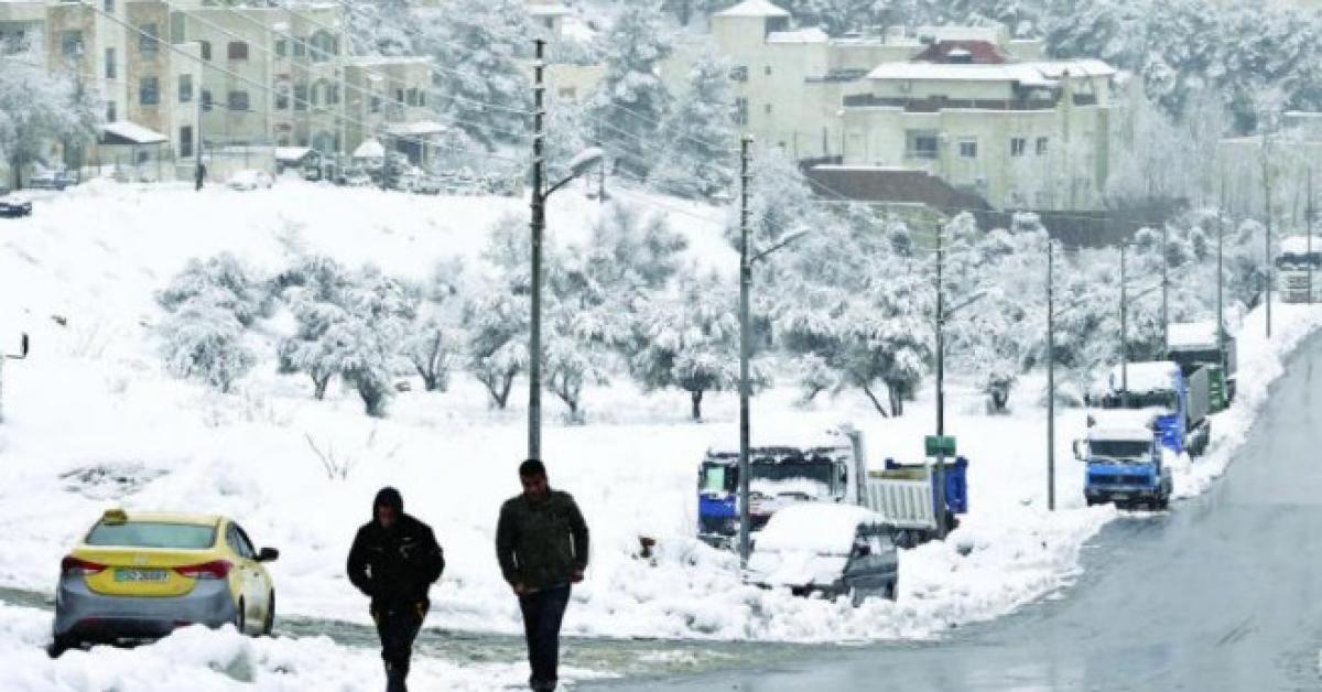 عاصفة ثلجية 