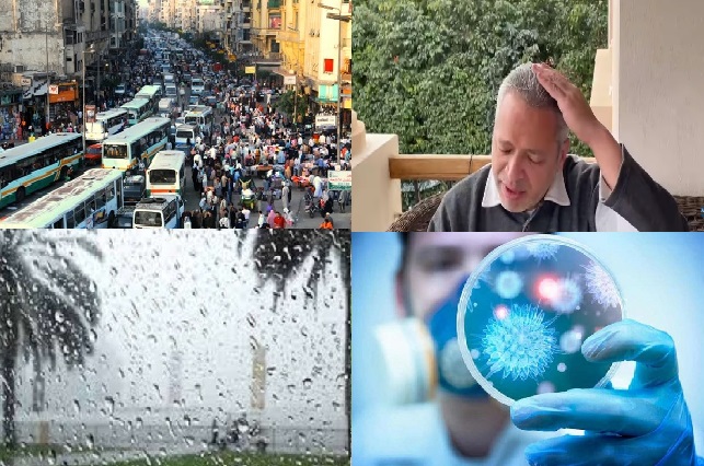 صورة الملف المجمع
