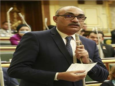 النائب ايهاب منصور عضو مجلس النواب 