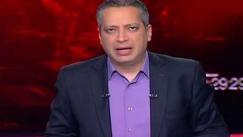 تامر امين